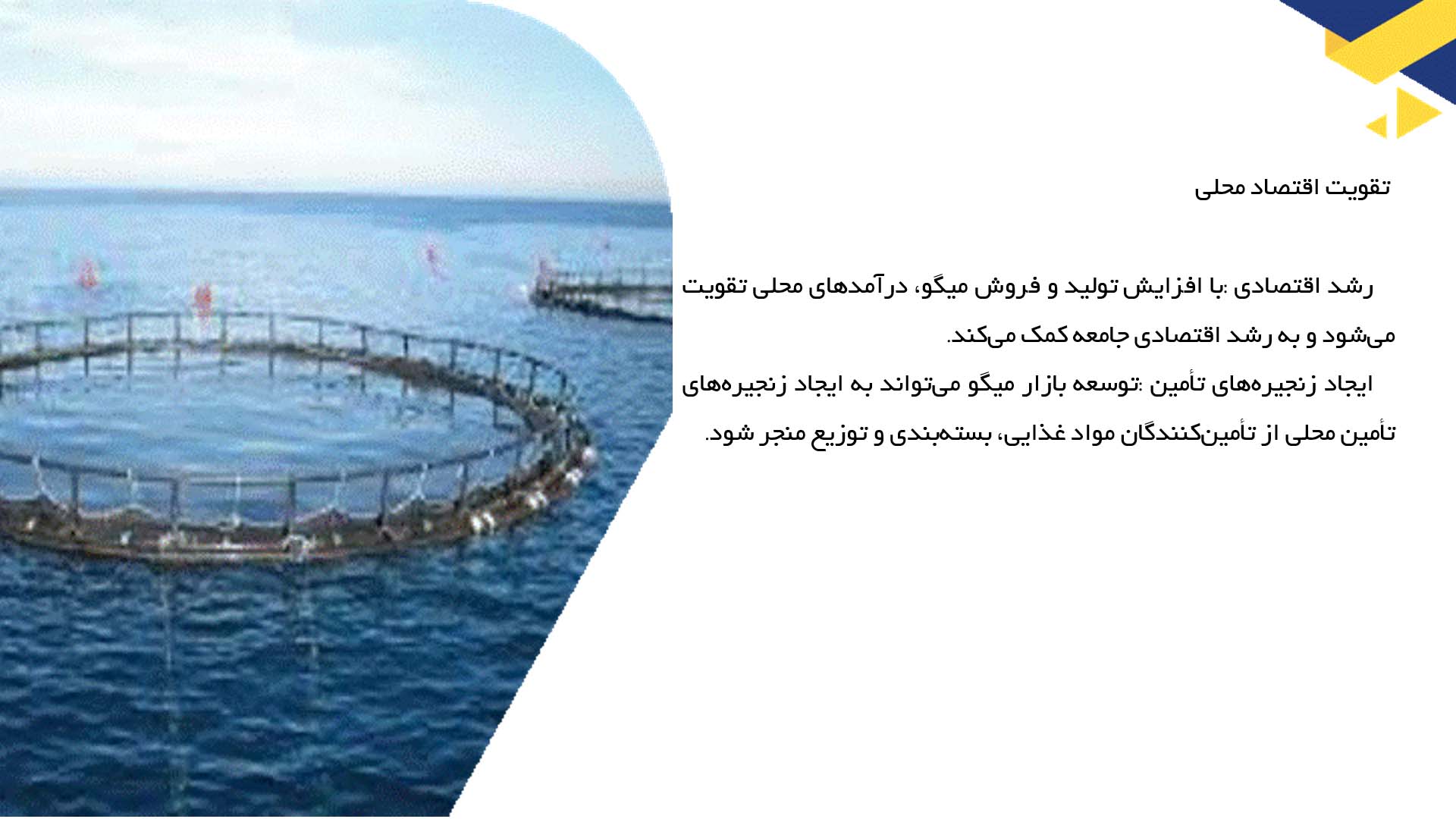 پاورپوینت در مورد کاربردهای اجتماعی و اقتصادی پرورش میگو